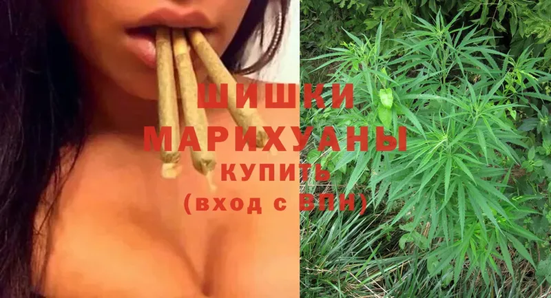 Конопля SATIVA & INDICA  магазин    Ельня 